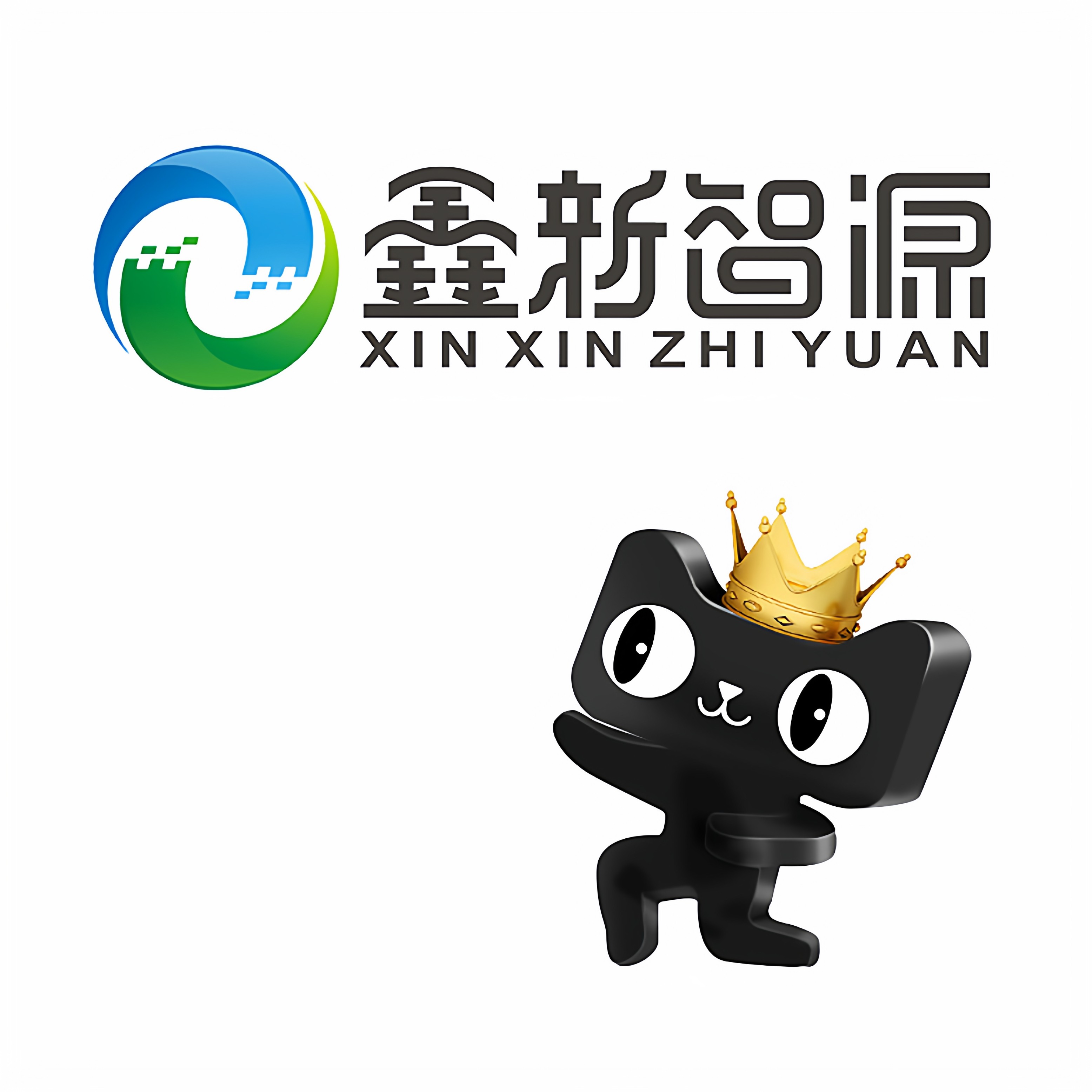 cnszxxzy旗舰店