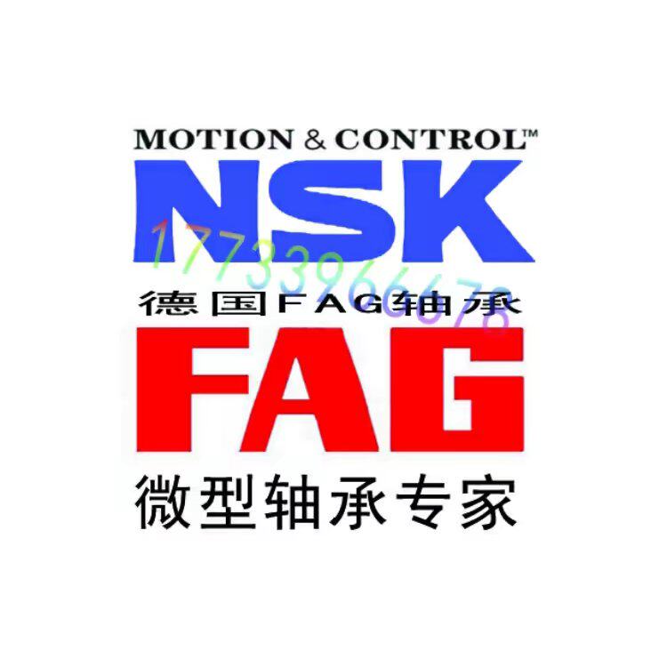NSKlSKF进口轴承专家