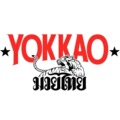 Yokkao国内正品店