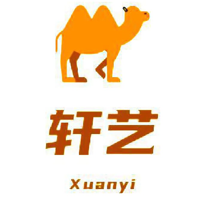 宁夏轩艺旅游专营店 店铺LOGO