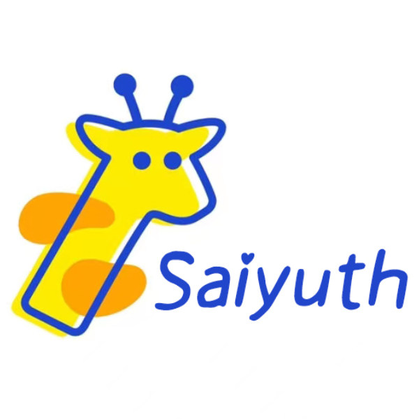 赛宇斯电子