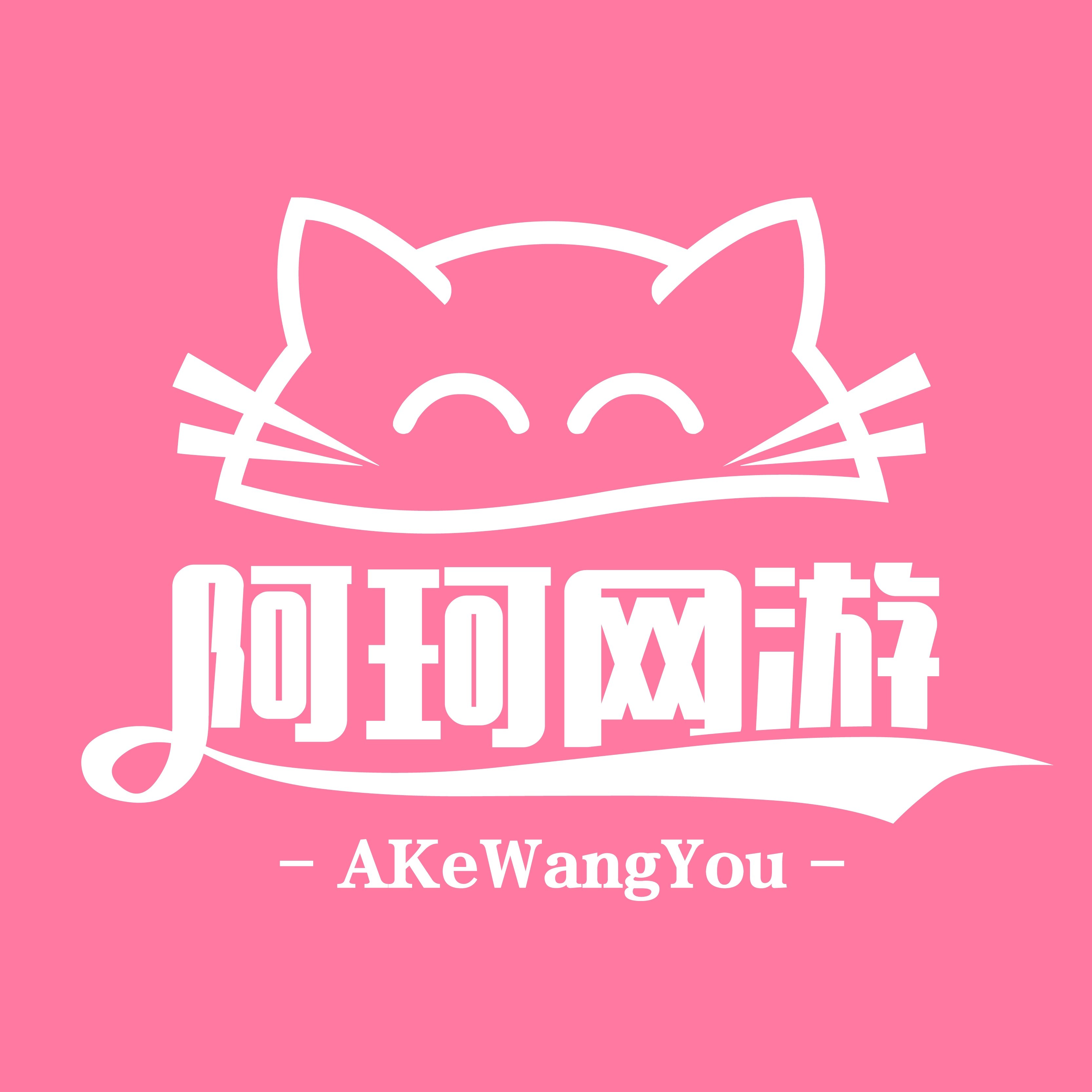 阿珂网游专营店
