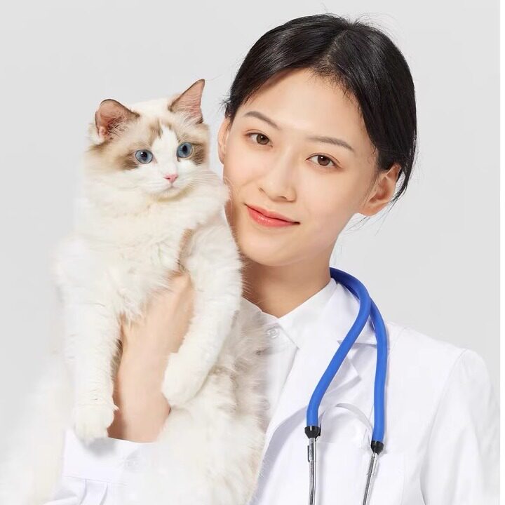 太正猫医宠院