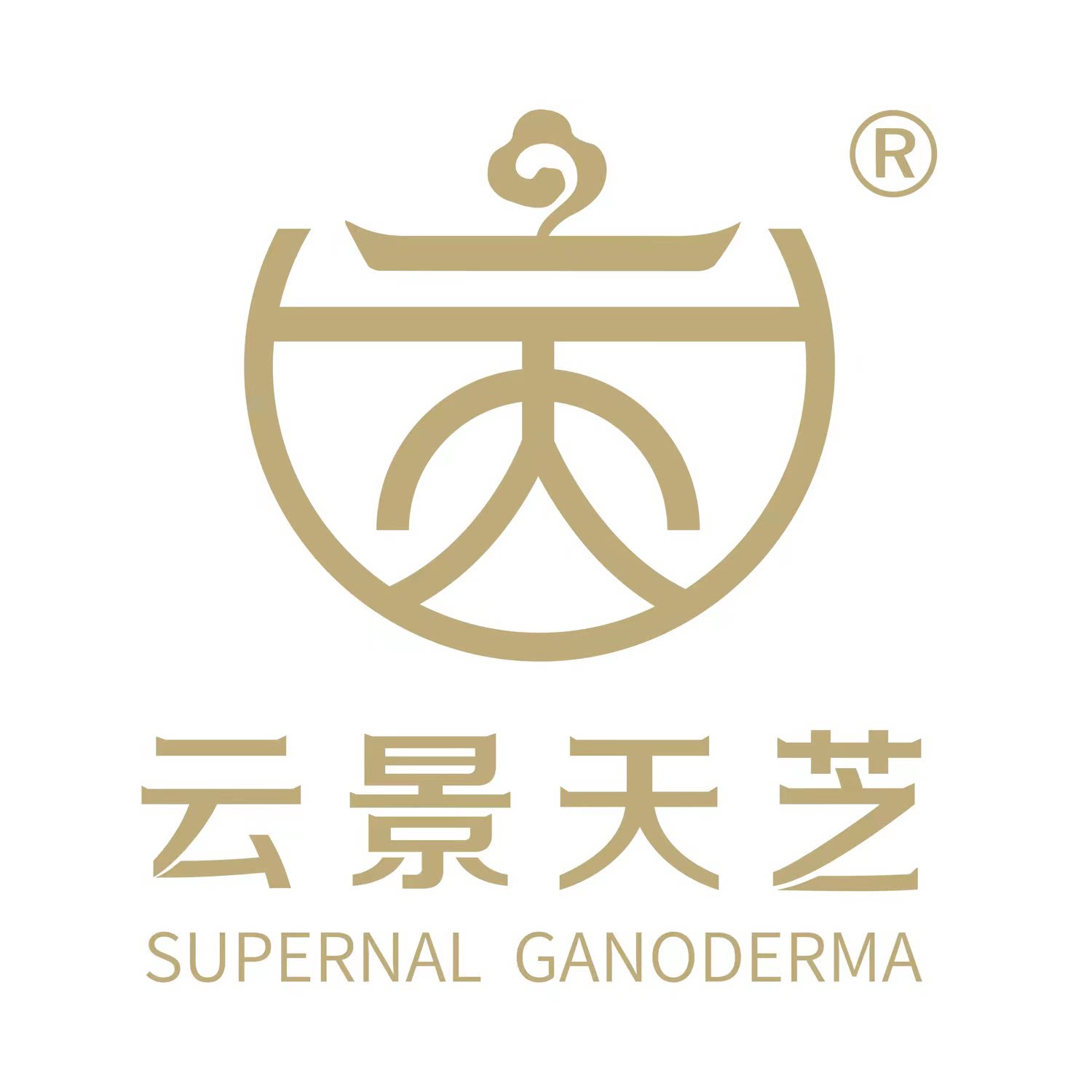 云景天芝旗舰店