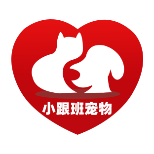 小跟班宠物精选