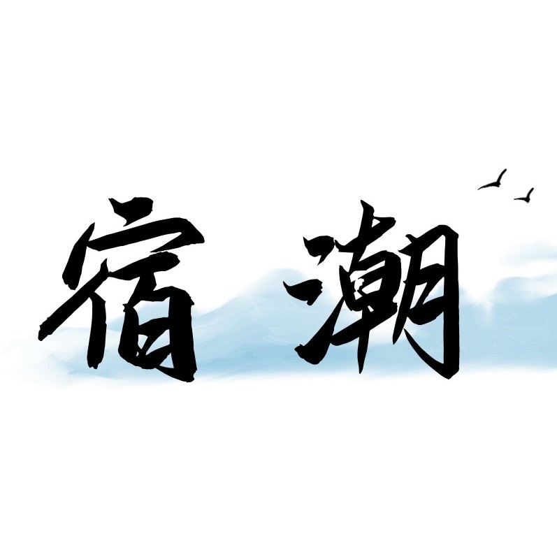 宿潮旗舰店 店铺LOGO