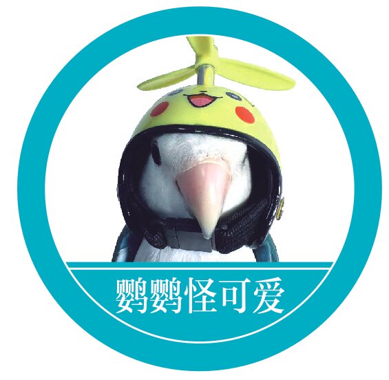 鹦鹦怪可爱