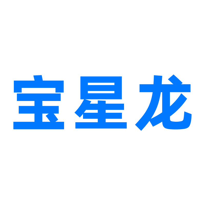 宝星龙旗舰店