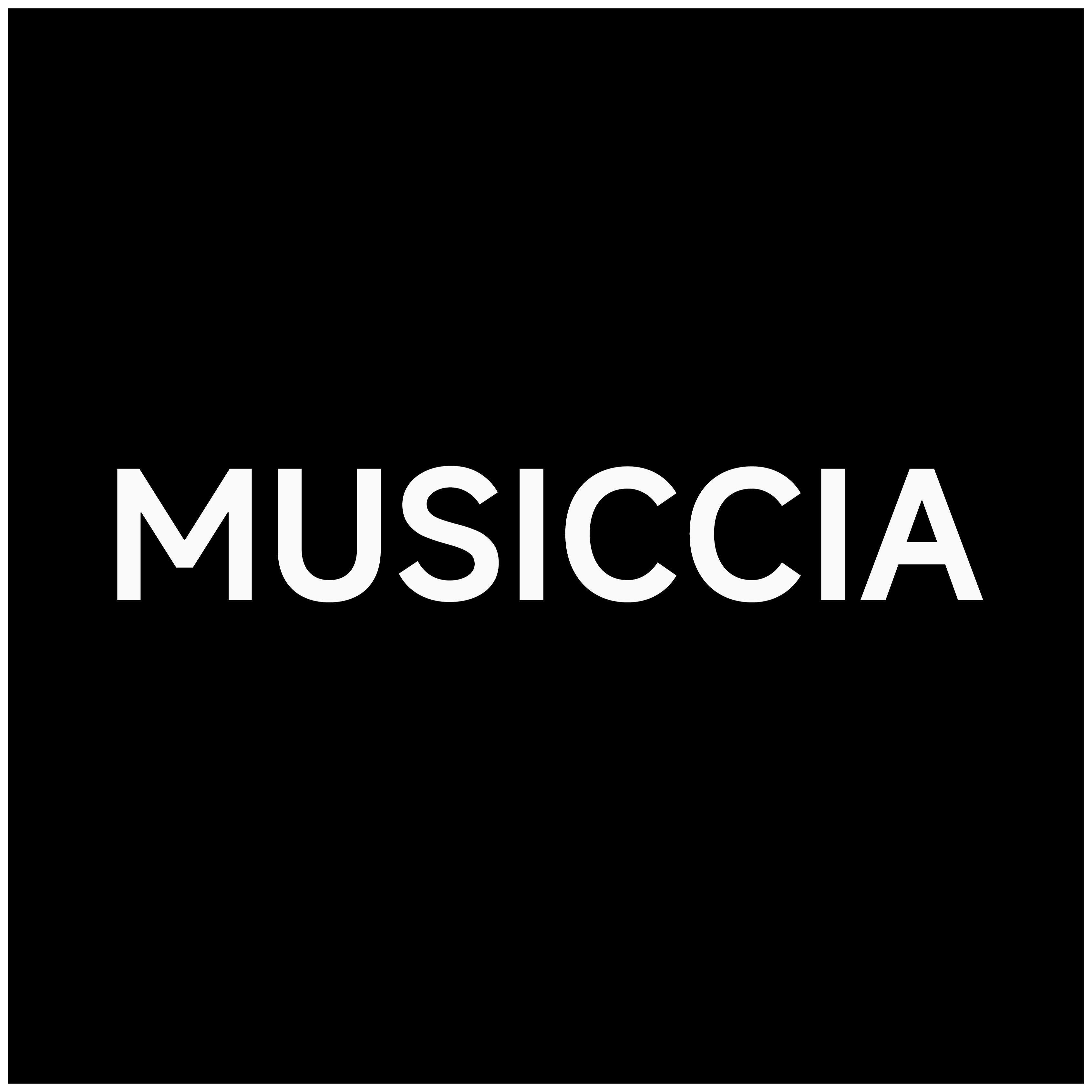 MUSICCIA乐器旗舰店