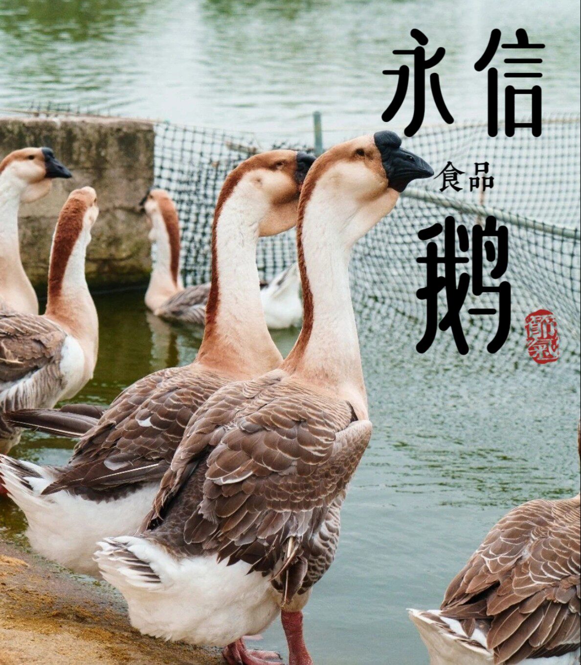 永信食品源头厂