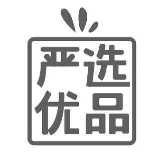 严选正品卖店