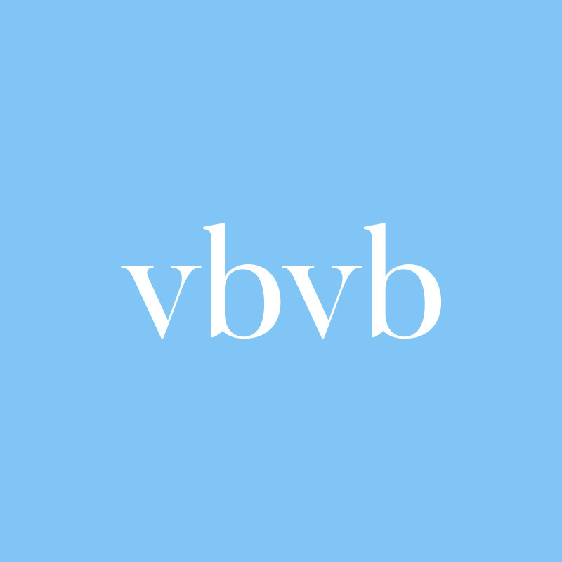 vbvb旗舰店 店铺LOGO