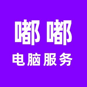 嘟嘟电脑服务