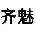 齐魅旗舰店