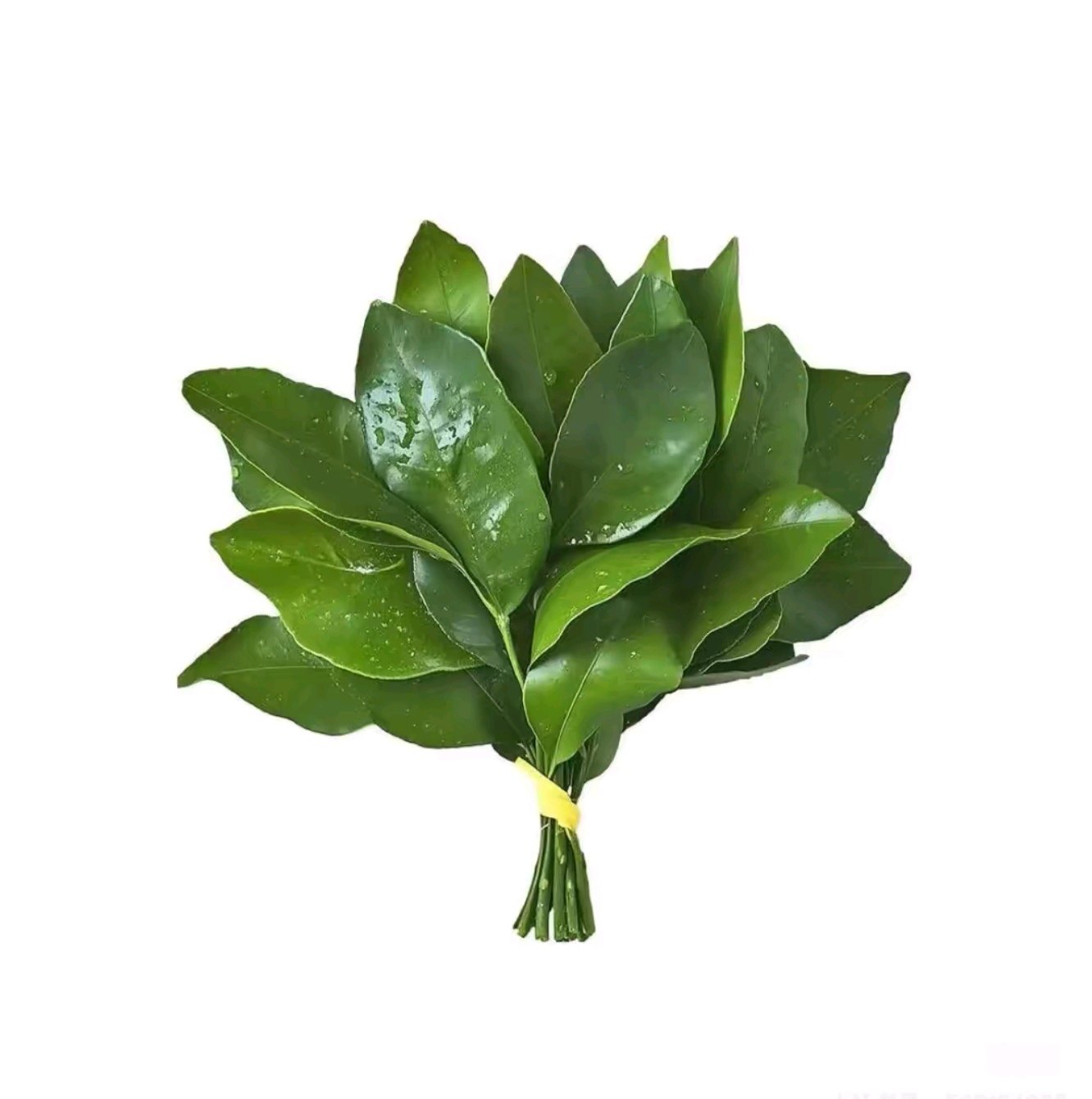 一讯散热风扇