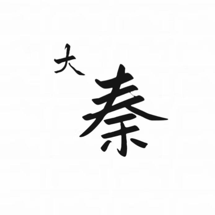 大秦运动  正品超低折扣
