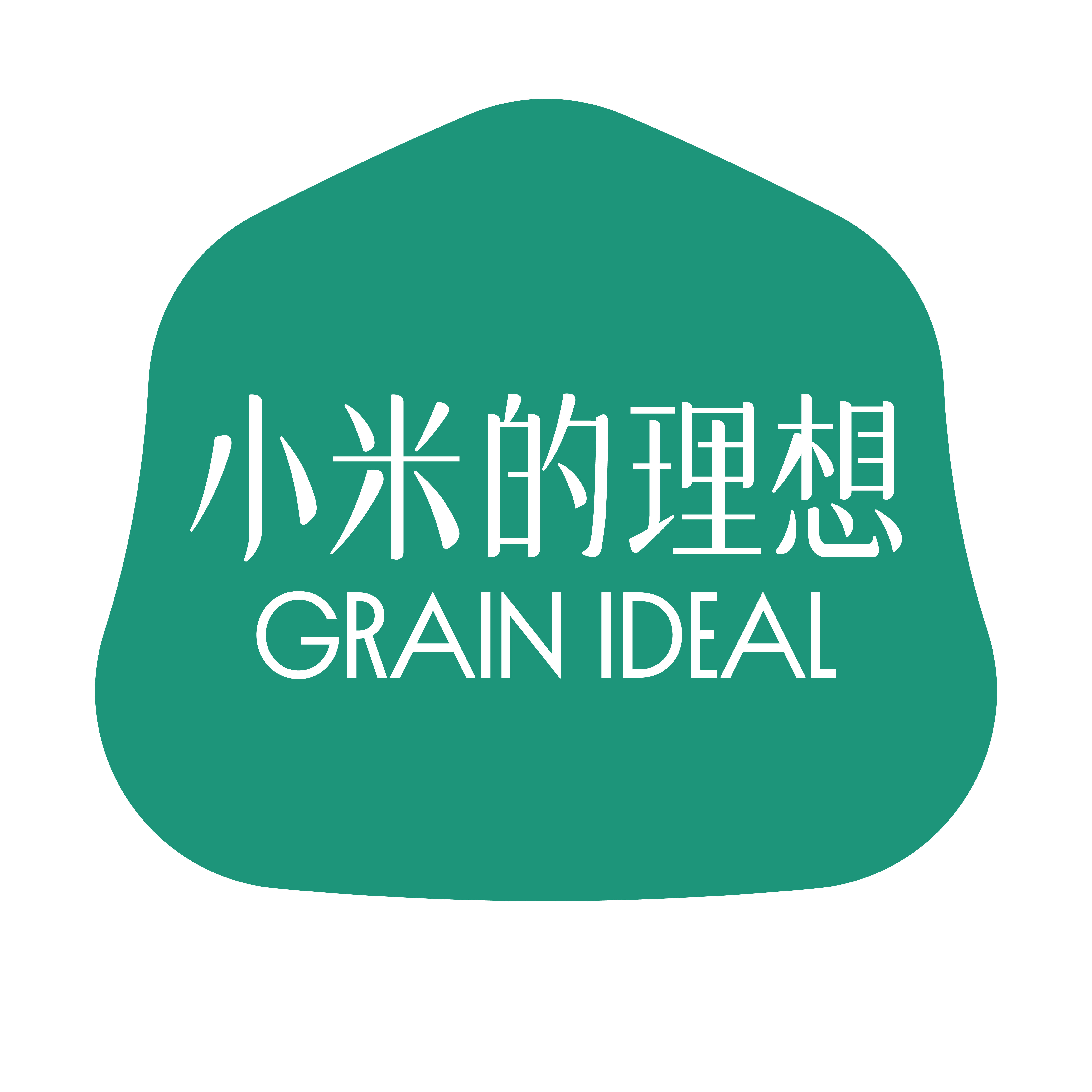 小米的理想旗舰店