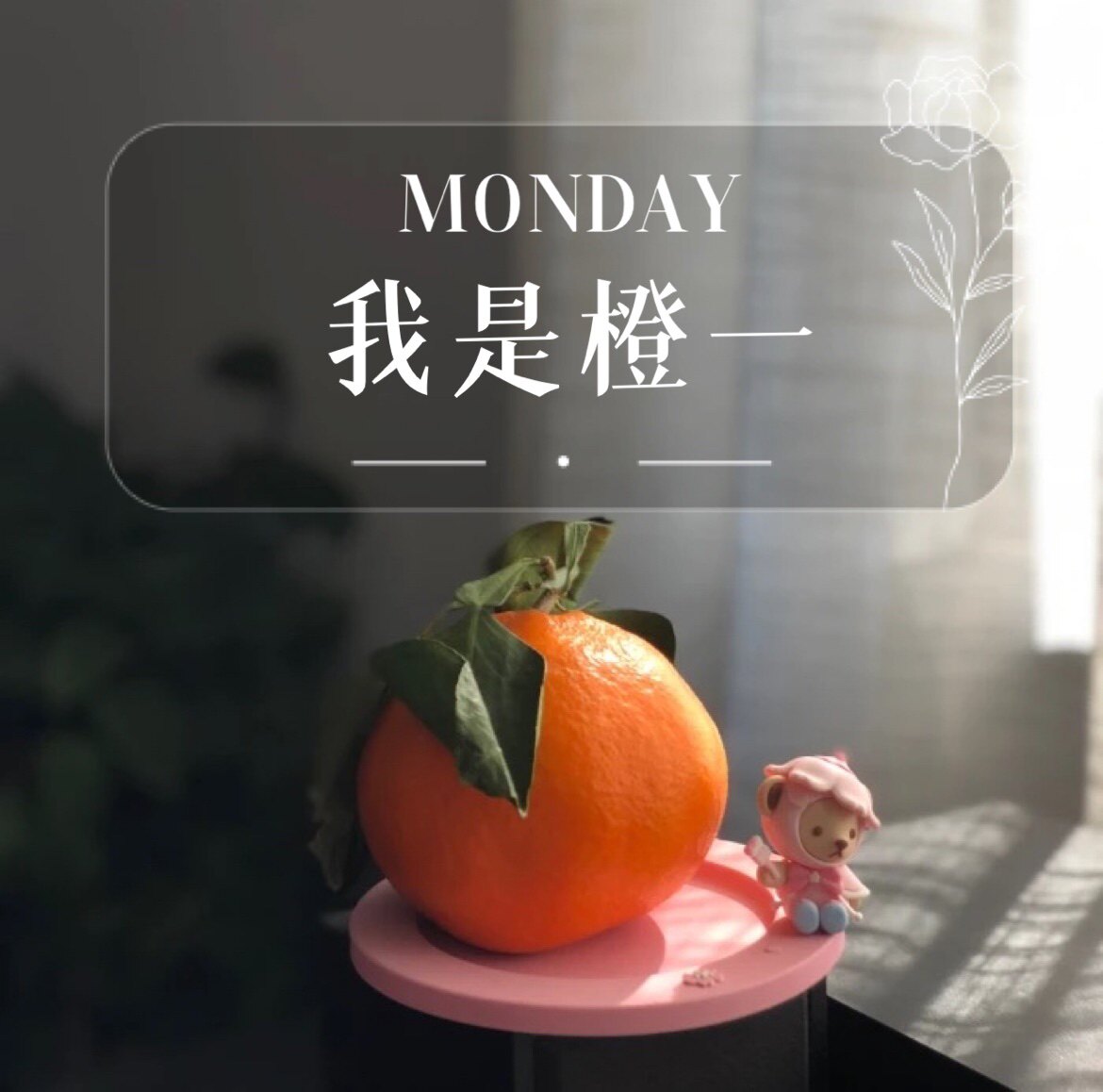 橙子正品美妆清仓店