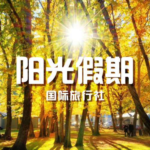 山东阳光假期国旅金山街店