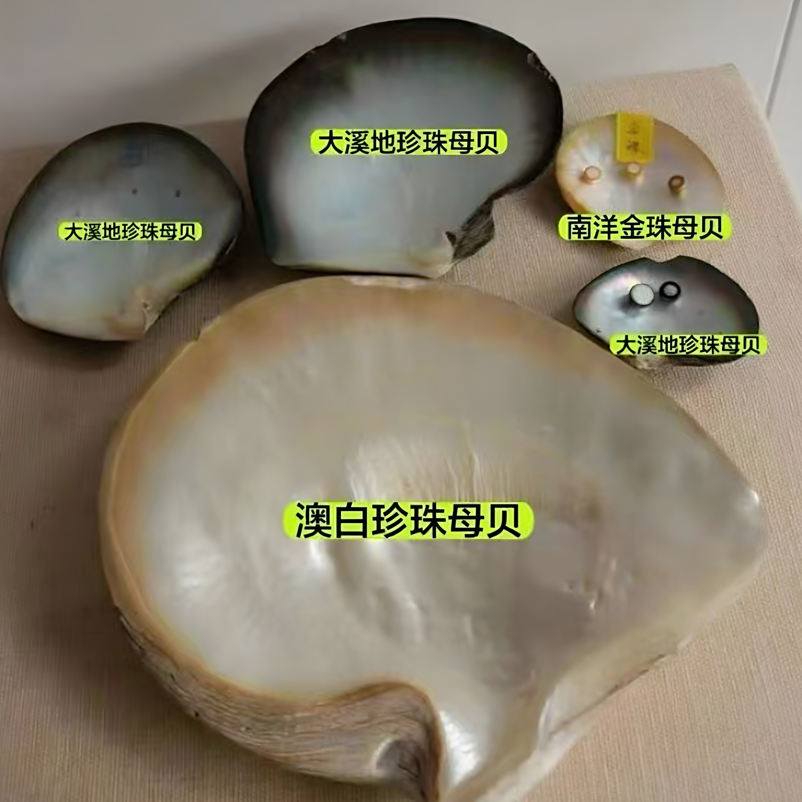 澳母贝珍珠饰品店