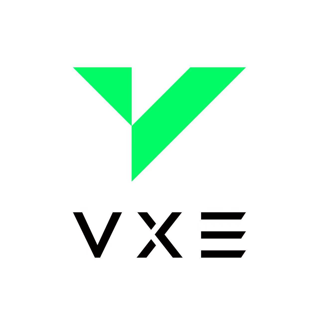 VXE数码旗舰店