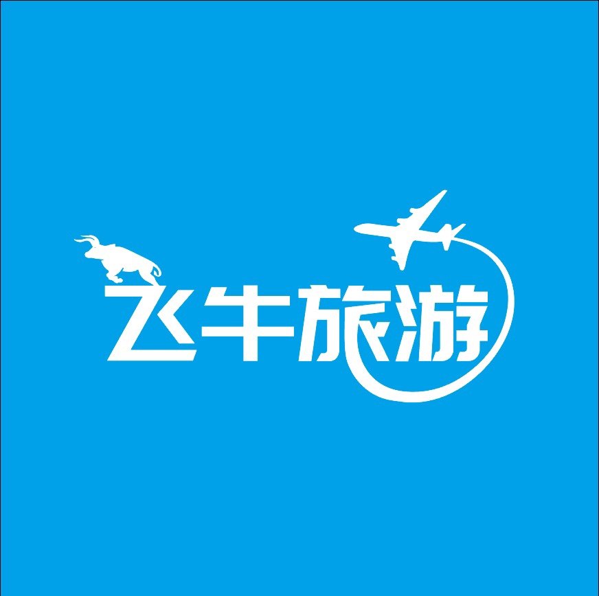武汉飞牛旅游专营店