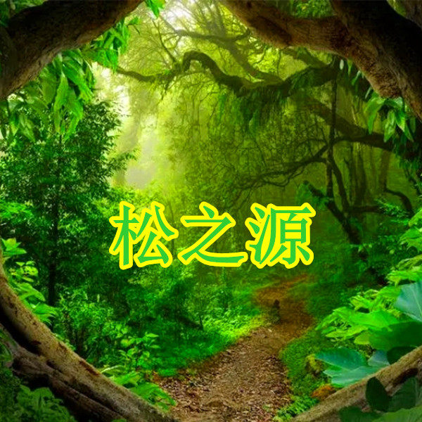 松之源木业 店铺LOGO