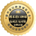 槿禾进口种球