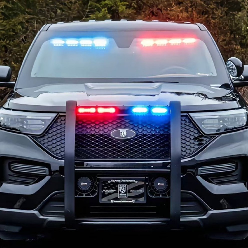 道 奇 警报器 警示灯