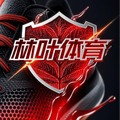 林叶体育 只售正品