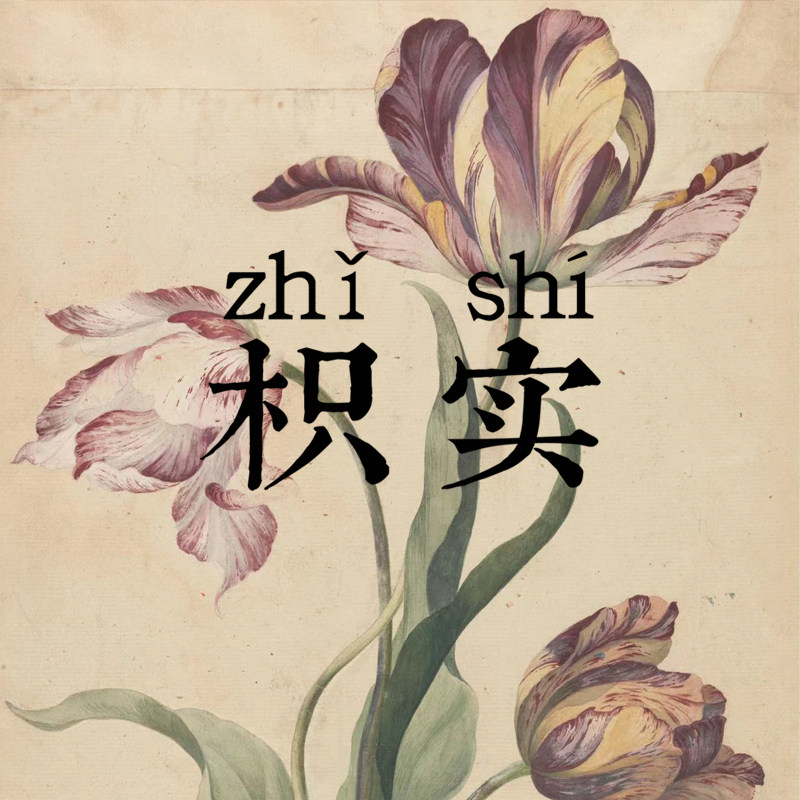 枳实ZHISHI