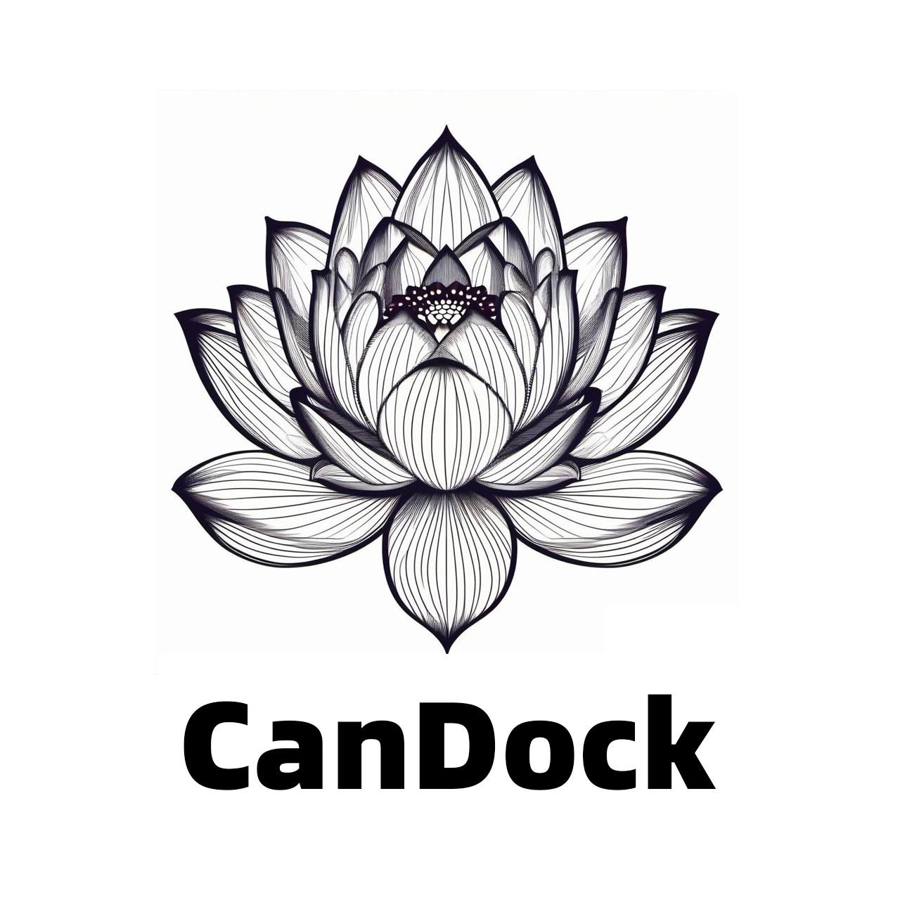 CanDock