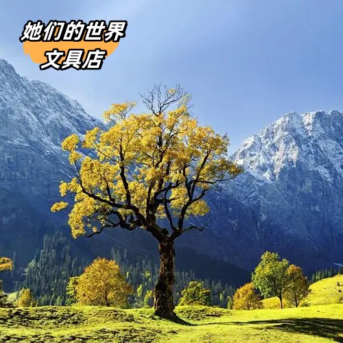 她们的世界文具店企业店