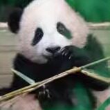 言迪百汇