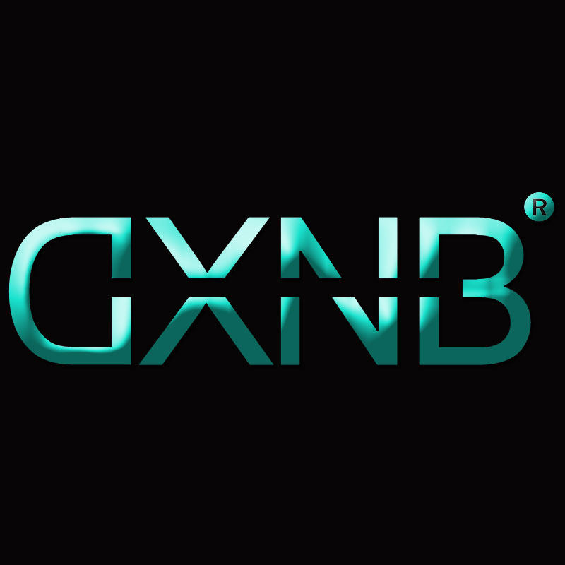 DXNB旗舰店 店铺LOGO