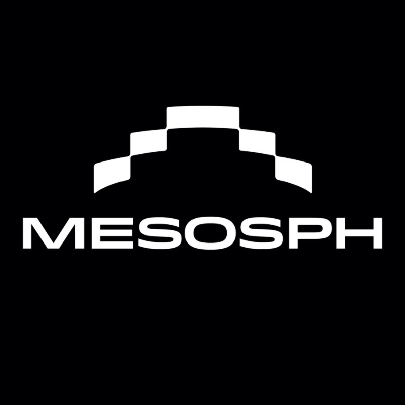 mesosph旗舰店 店铺LOGO