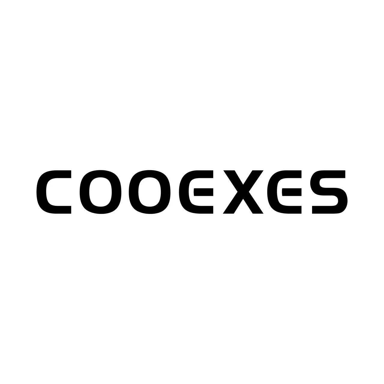 cooexes汽车用品官方店