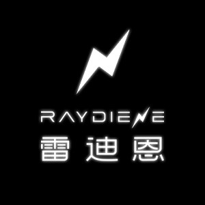 雷迪恩汽车用品旗舰店