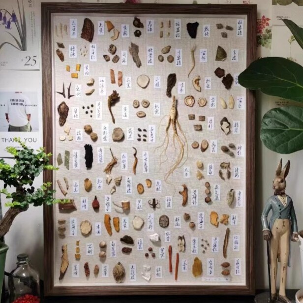 中草药材标本店