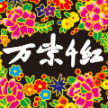 万紫千红旗舰店