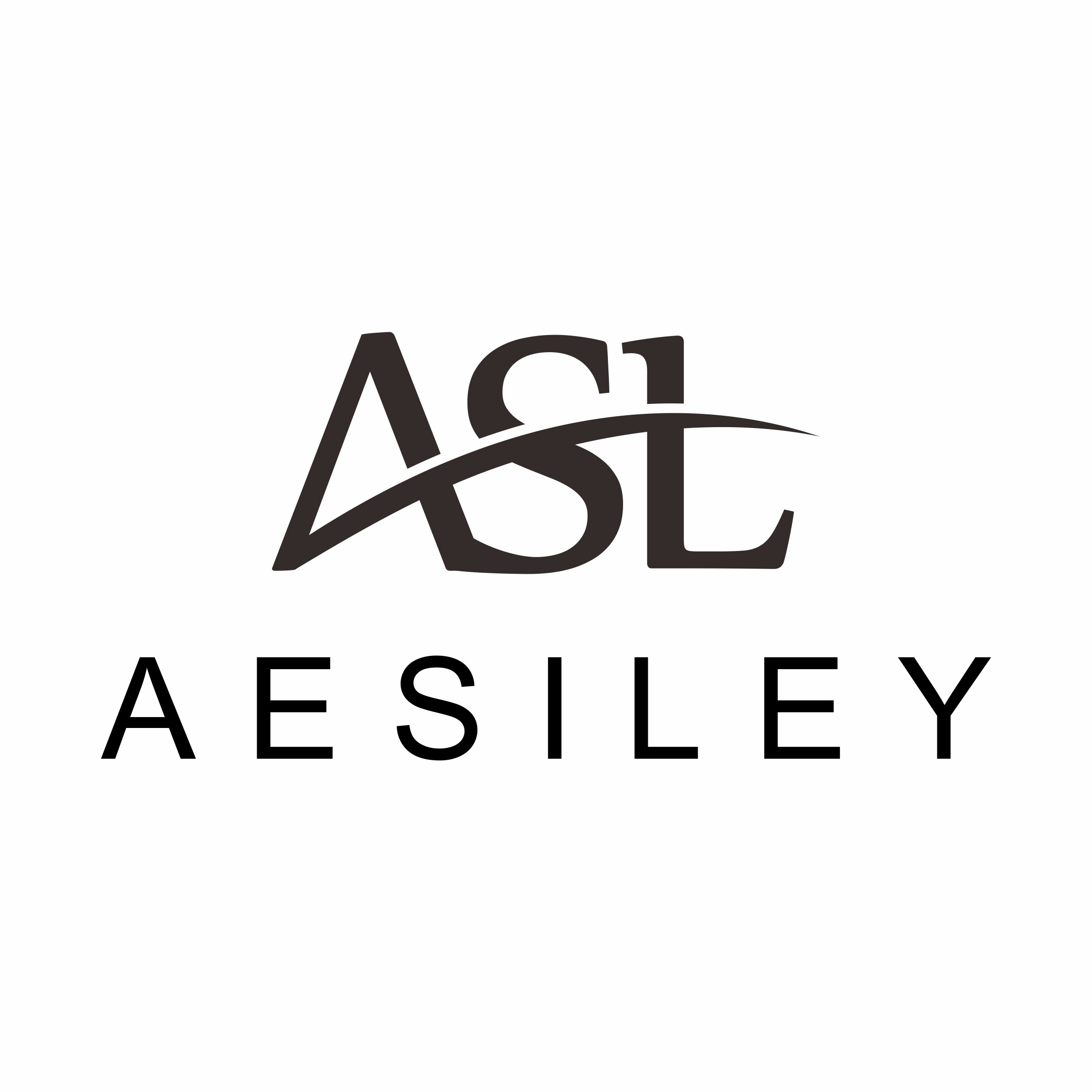 aesiley旗舰店 店铺LOGO