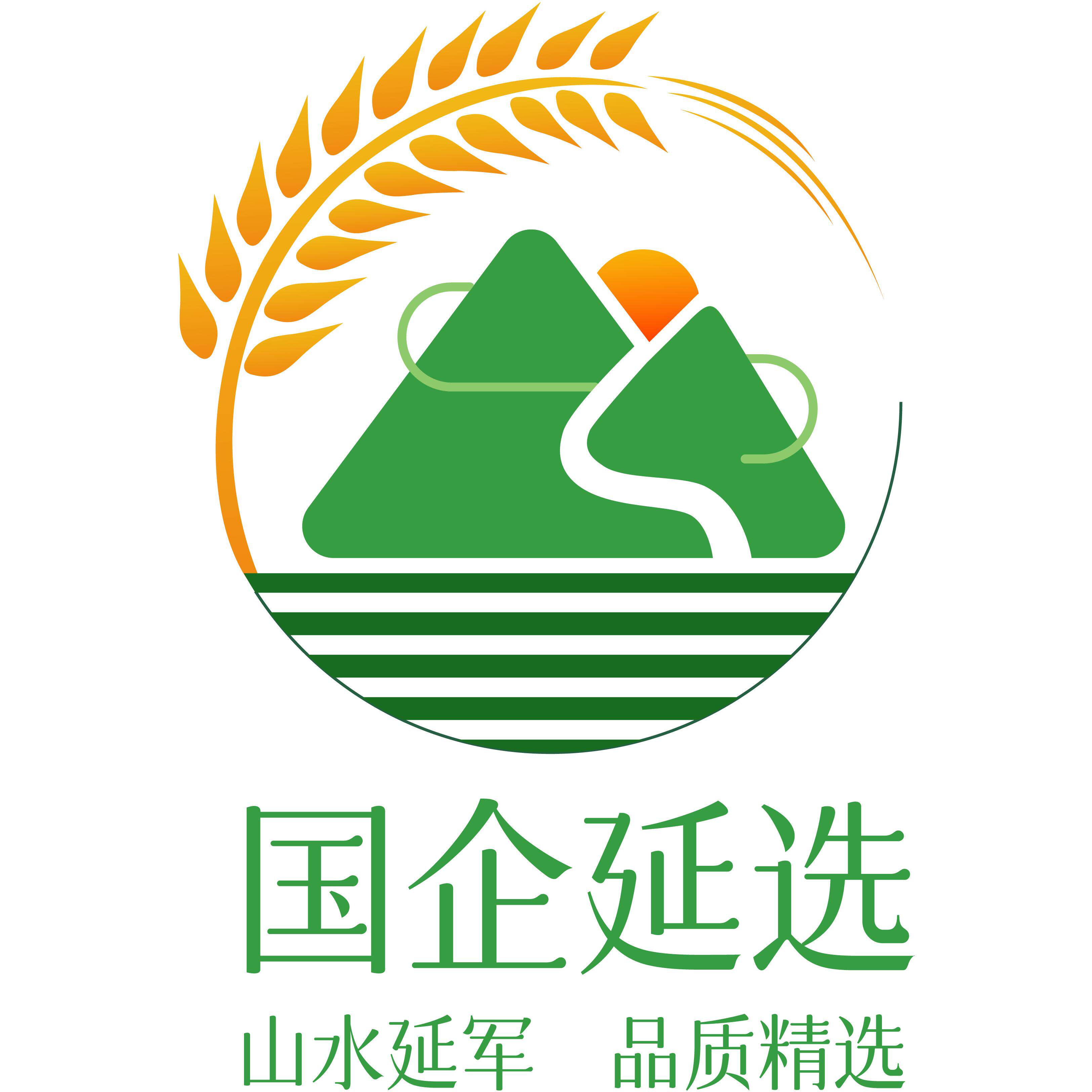国企延选 店铺LOGO