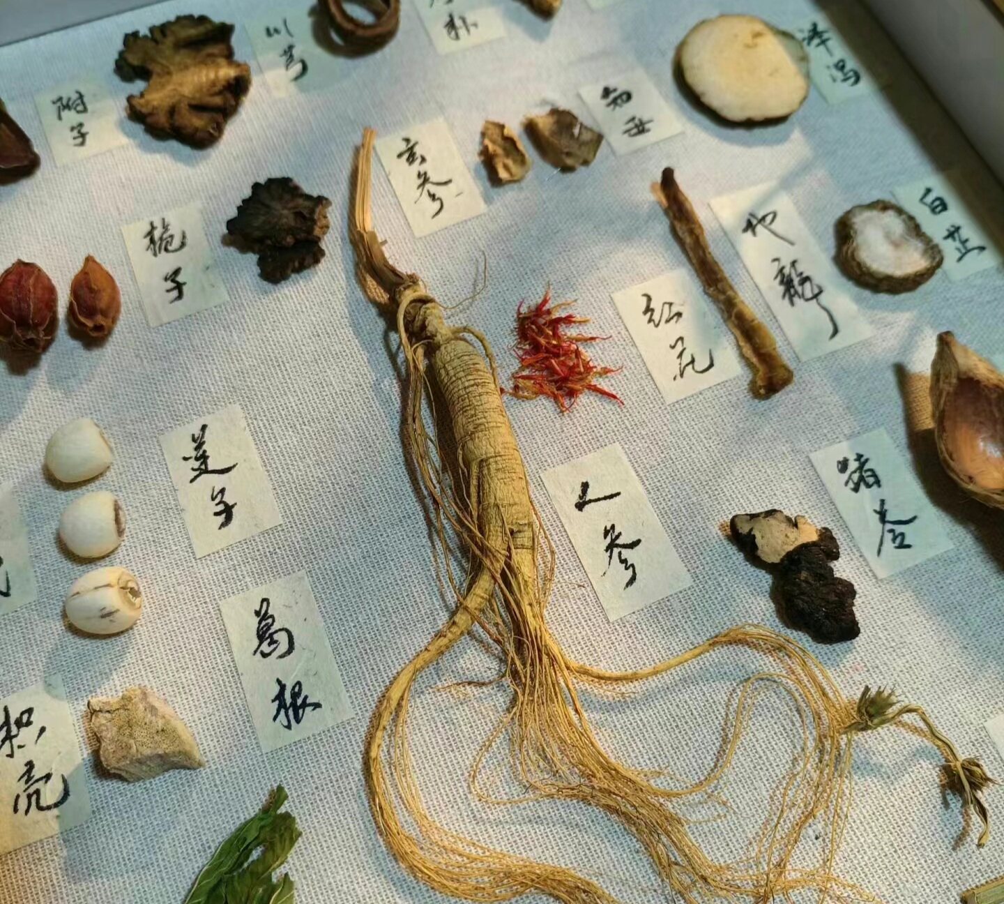术健康正品精选堂