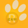 红杉叶旗舰店