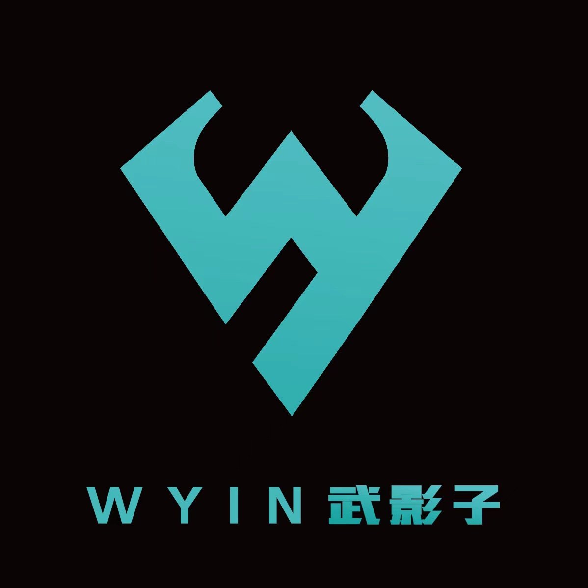 武影子数码企业店 店铺LOGO