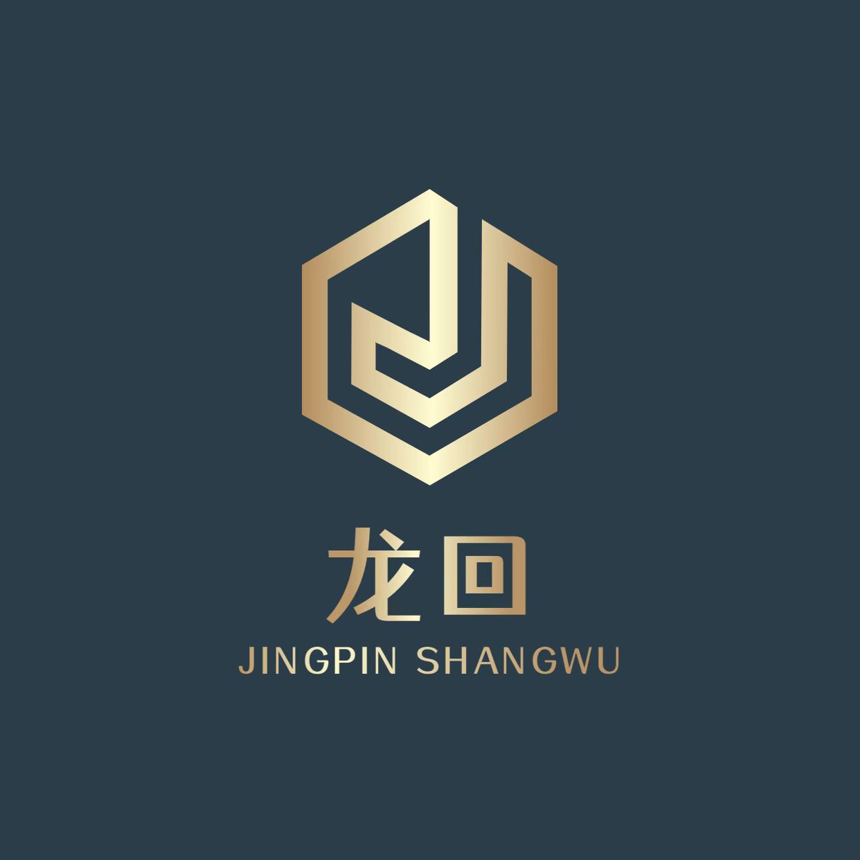 一寸光阴龙回授权企业店 店铺LOGO