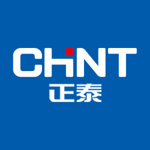 正泰有家大的专卖店