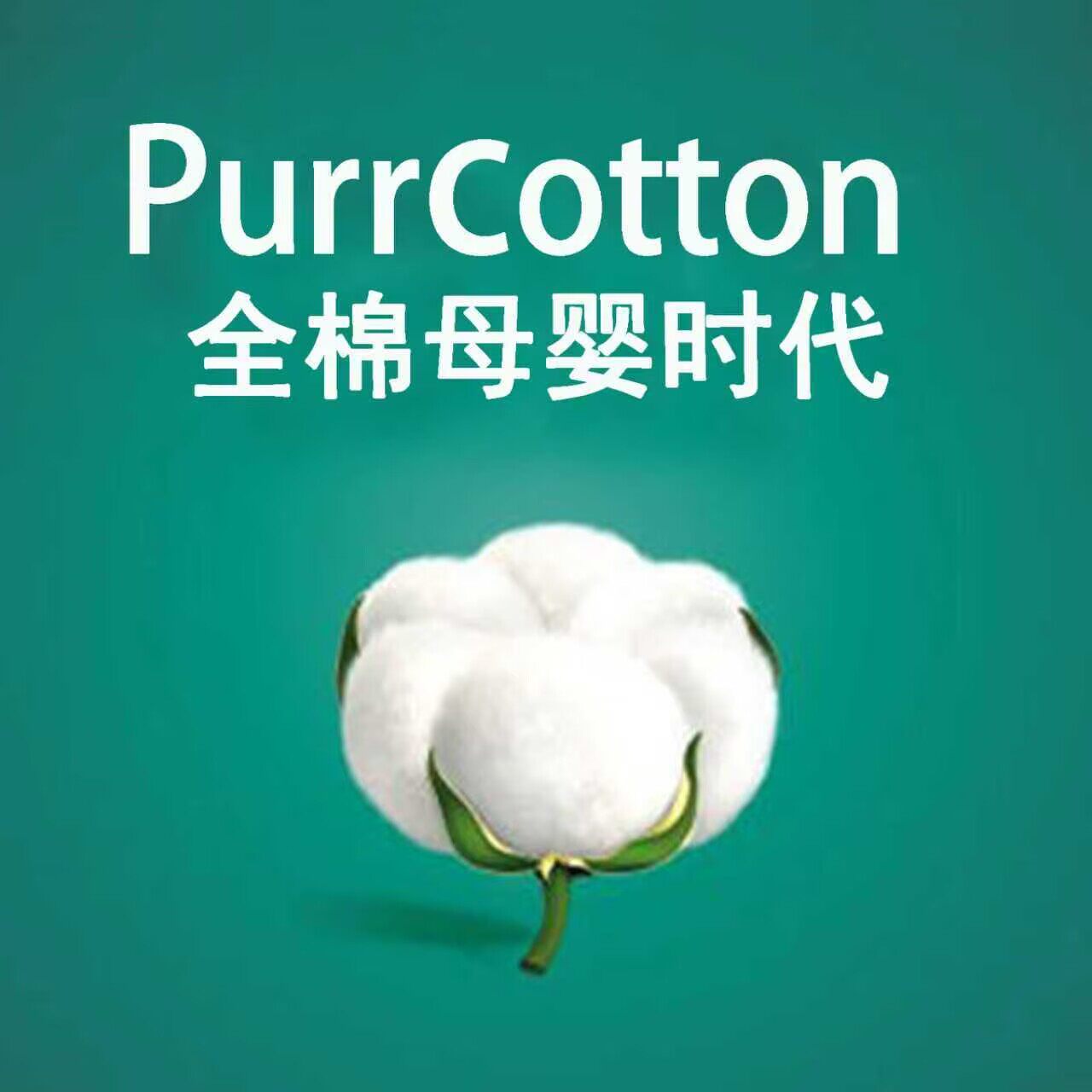 Procootton全棉生活时代 店铺LOGO