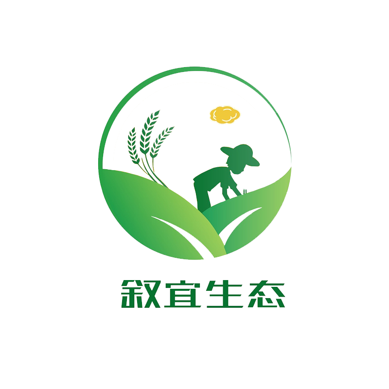叙宜旗舰店 店铺LOGO
