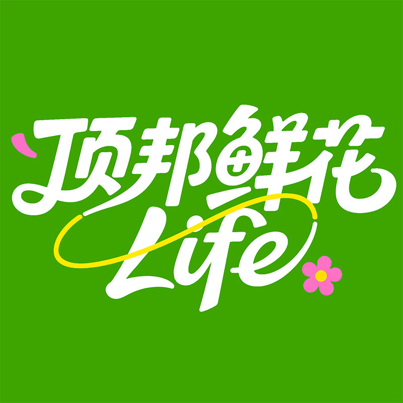 顶邦电器旗舰店